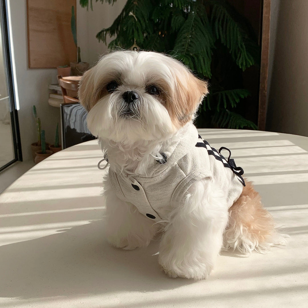 ※予約販売【DURANG RURANG】Ribbon Hoodie Jacket（Melange Gray）