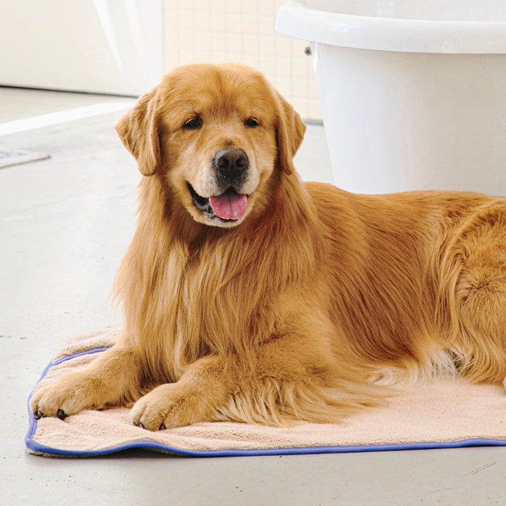 ※予約販売【munikund】Dry Hug Towel（Beige）