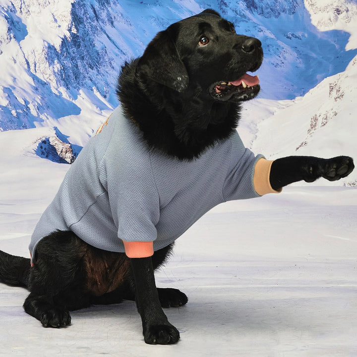 ※予約販売【munikund】Wuff Pullover（Blue）