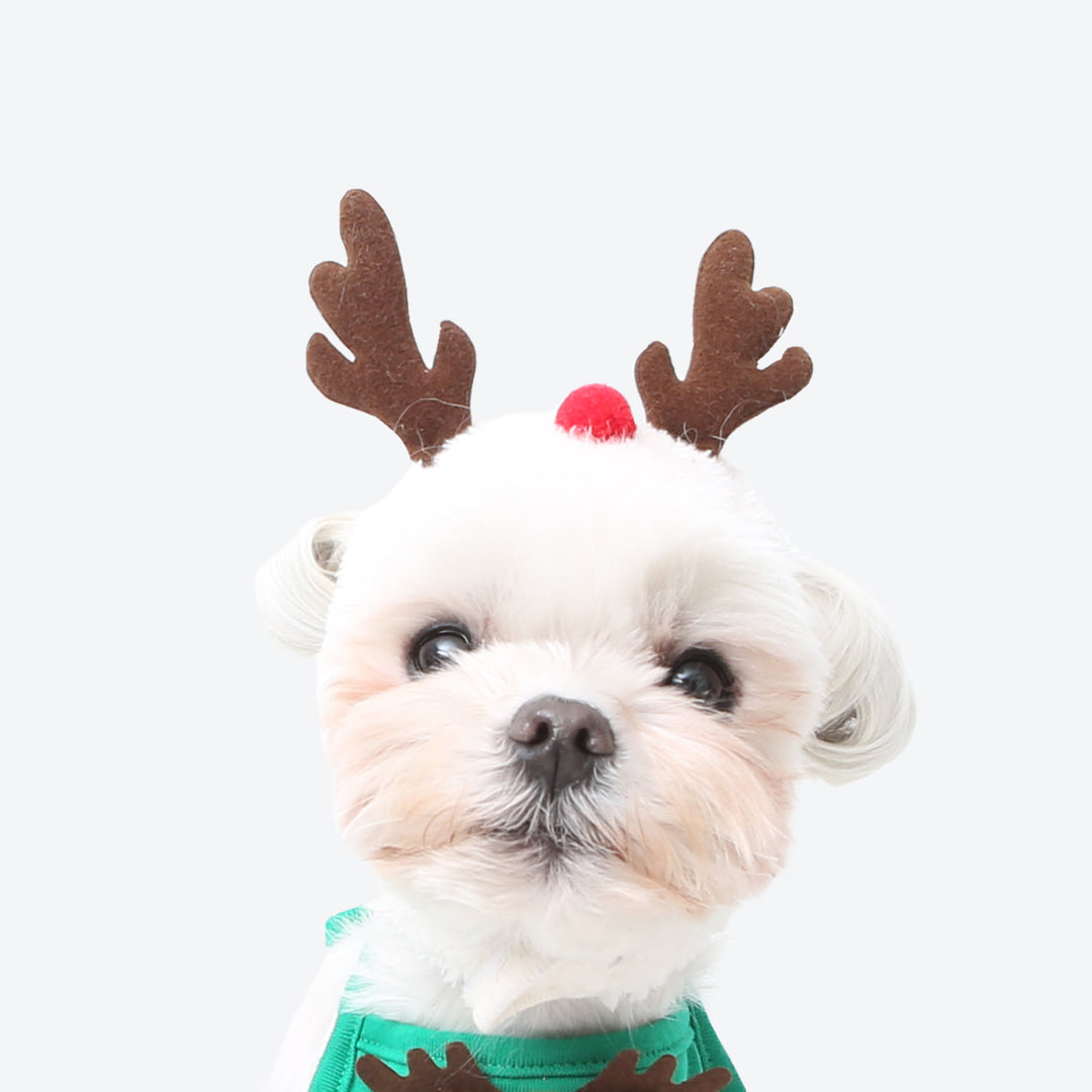 即納【ITS DOG】I'm Rudolph hat