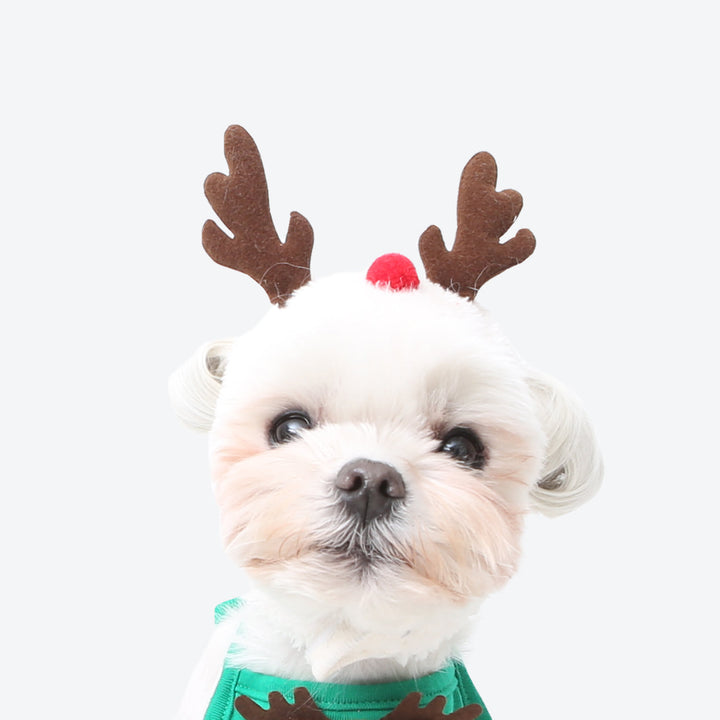 即納【ITS DOG】I'm Rudolph hat