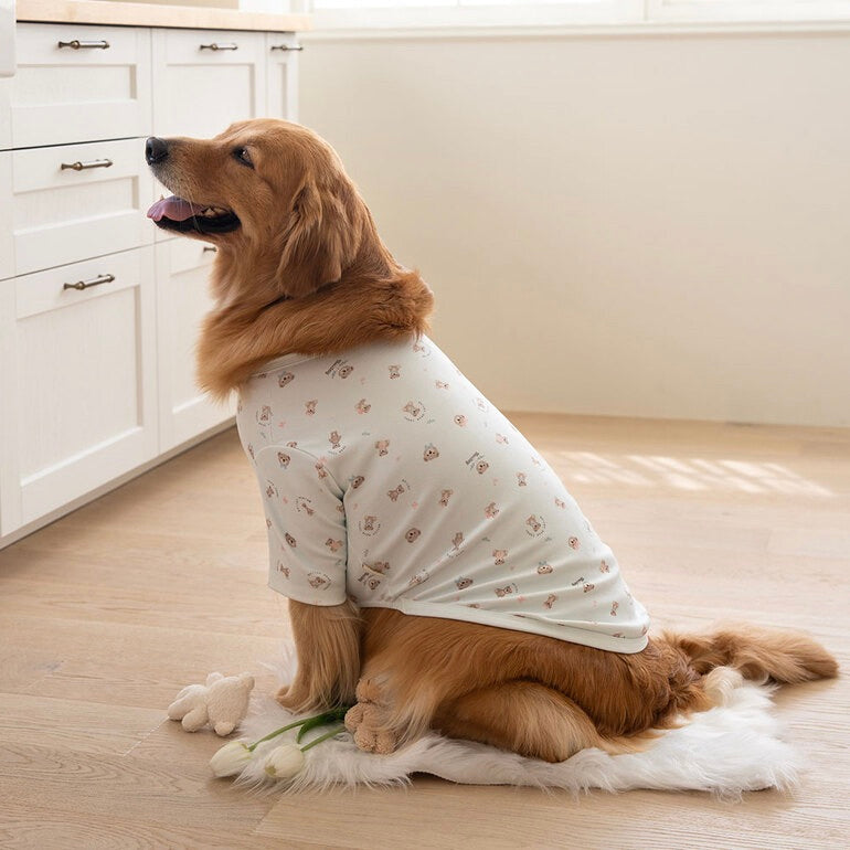 ※予約販売【Bailey】Teddy T-shirt（Teddy Blue）