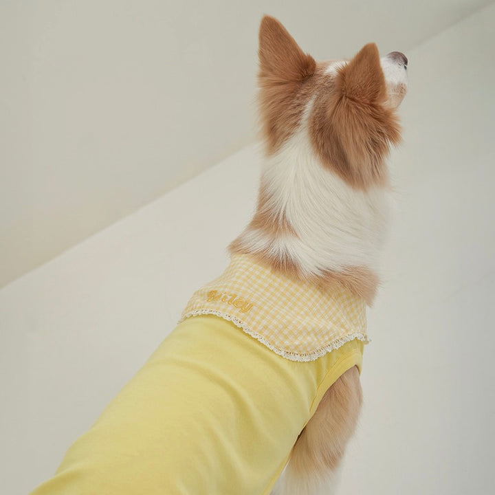 ※予約販売【Bailey】Cozy Sailor T-shirt（Yellow）