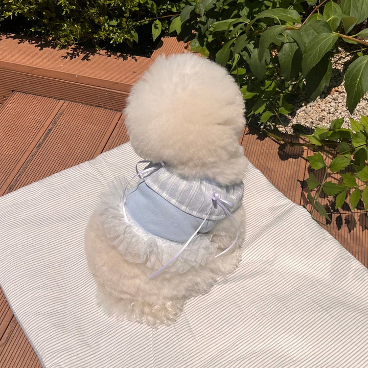 ※予約販売【Hi Yeboo】Sora Cape Collar Tutu（Blue / Beige）
