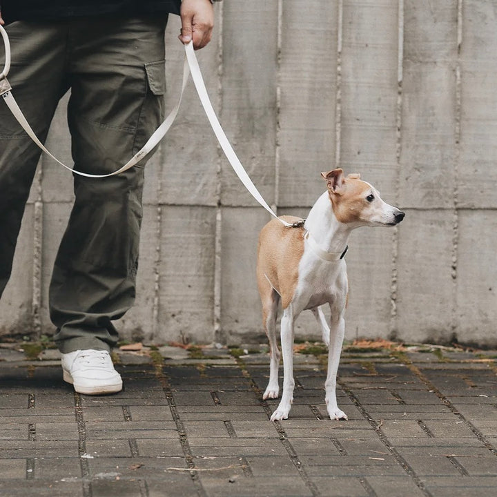 即納【Bad Marlon Design Studio.】Rupel Leash（Cream）