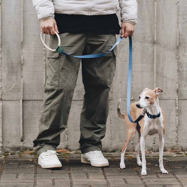 即納【Bad Marlon Design Studio.】Rupel Leash（Royal Blue）