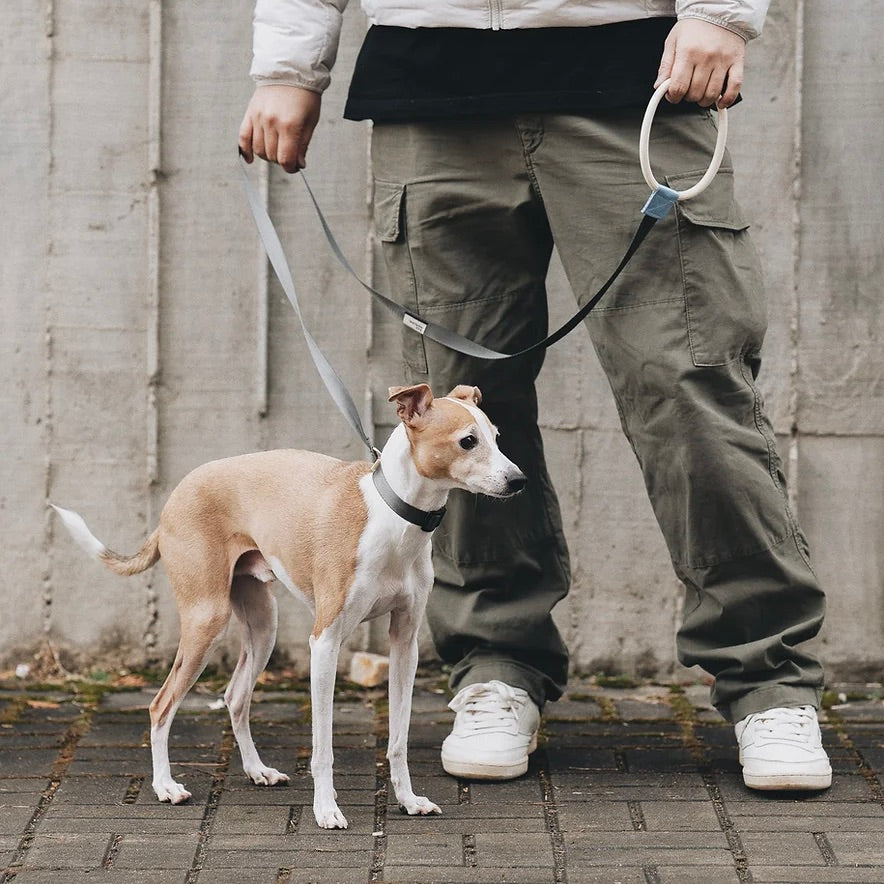 即納【Bad Marlon Design Studio.】Rupel Leash（Deep Grey）