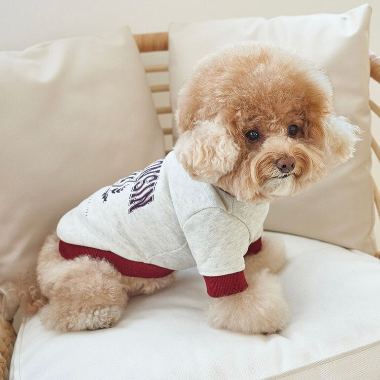※予約販売【Bailey】University MTM（Wisconsin Burgundy）