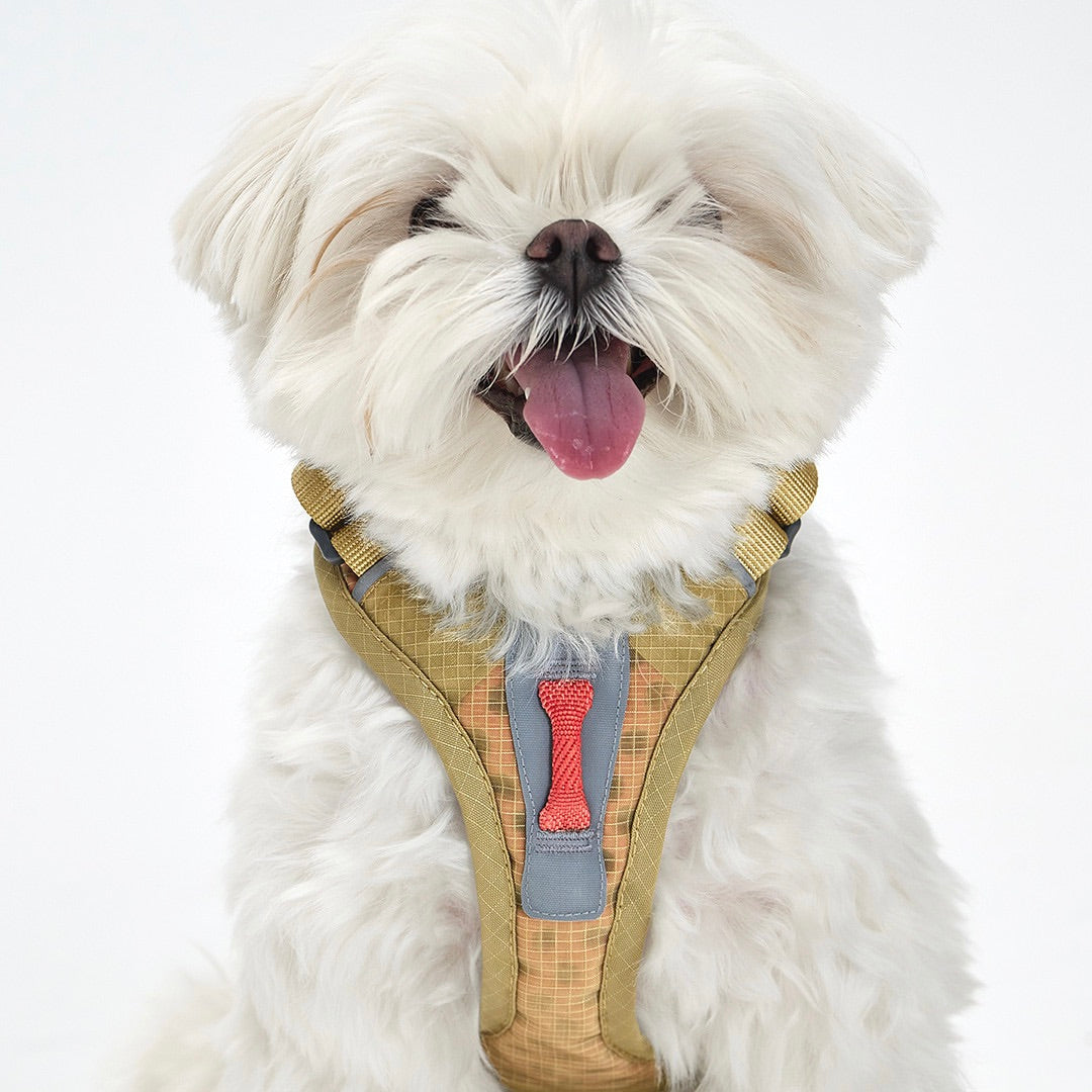 ※予約販売【munikund】TREKTAIL Harness - Beige ｜犬用ハーネス