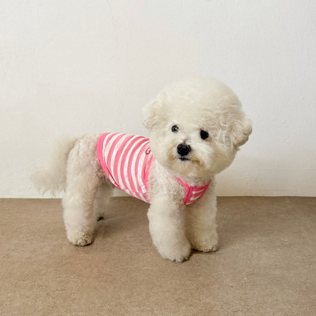 ※予約販売【CRR】Marine Stripe Strap Top（Pink）
