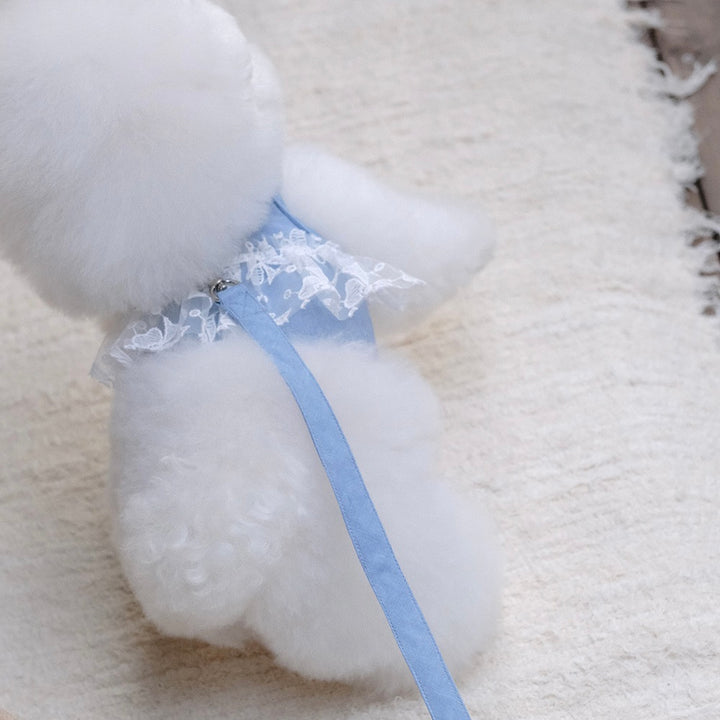 即納【BeBe Breath】Essential Harness（Denim）Leash Set｜犬用ハーネス