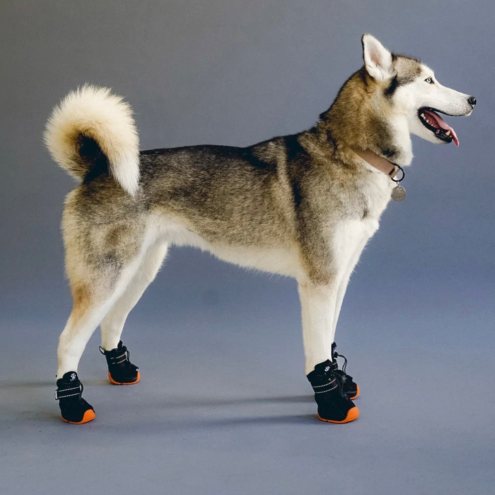 海外犬服 高品質なインポートのドッグウェア通販 