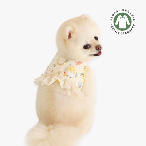 ※予約販売【ITS DOG】Organic Petitoy Harness