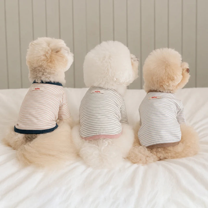 ※予約販売【ssfw】Mellow Stripe T-Shirt（3colors）