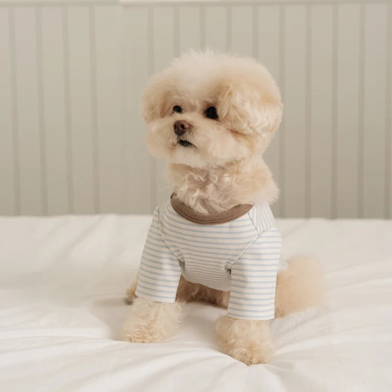 ※予約販売【ssfw】Mellow Stripe T-Shirt（3colors）