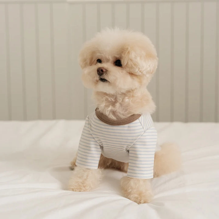 ※予約販売【ssfw】Mellow Stripe T-Shirt（3colors）