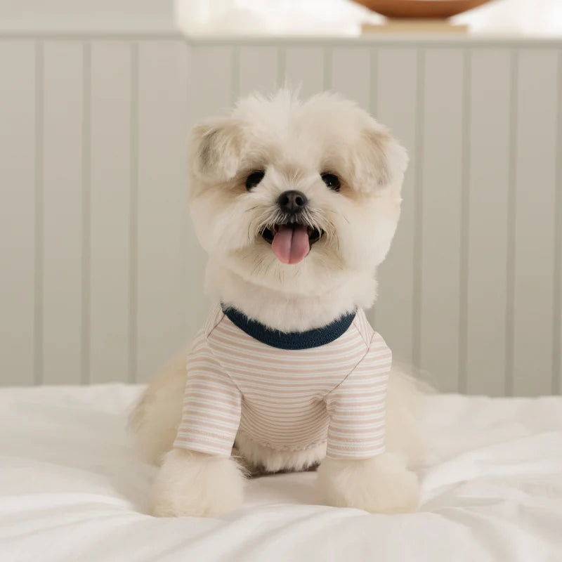 ※予約販売【ssfw】Mellow Stripe T-Shirt（3colors）