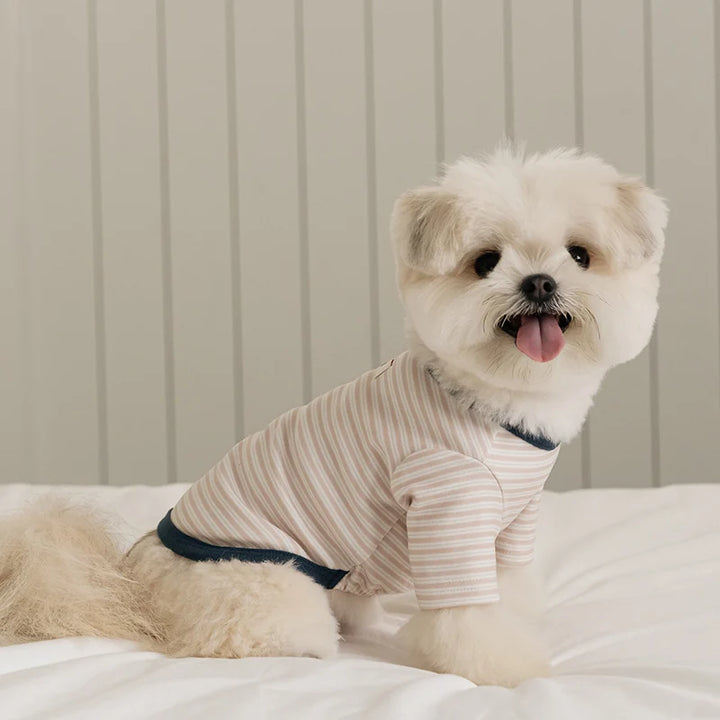 ※予約販売【ssfw】Mellow Stripe T-Shirt（3colors）