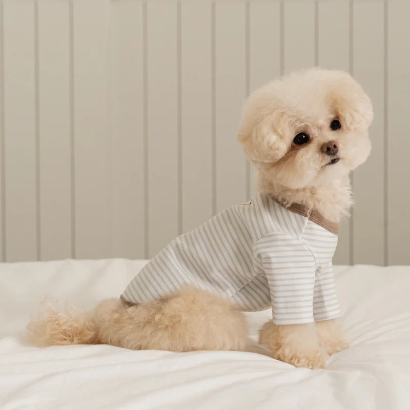 ※予約販売【ssfw】Mellow Stripe T-Shirt（3colors）