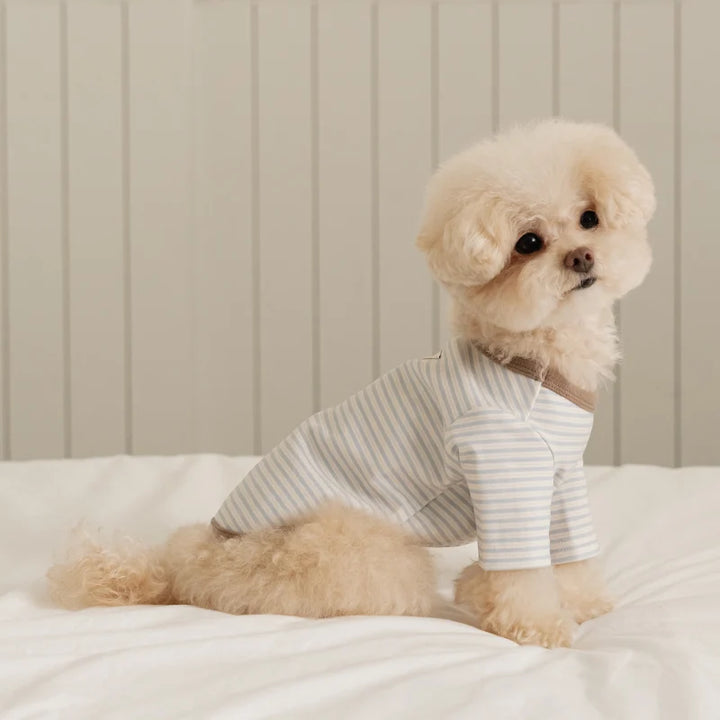 ※予約販売【ssfw】Mellow Stripe T-Shirt（3colors）