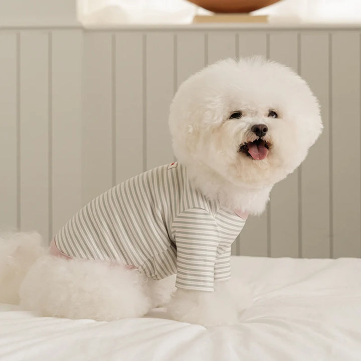 ※予約販売【ssfw】Mellow Stripe T-Shirt（3colors）