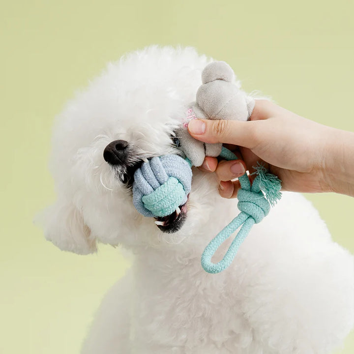 ※予約販売【BITE ME】Hug Me Koala Rope Ball Toy