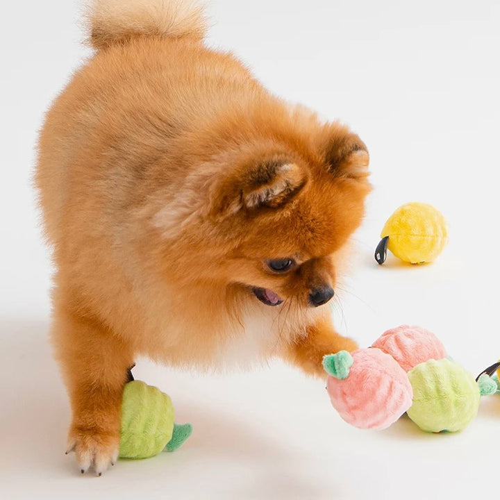 ※予約販売【BITE ME】Fruit Friends Ball Toy（3pcs）