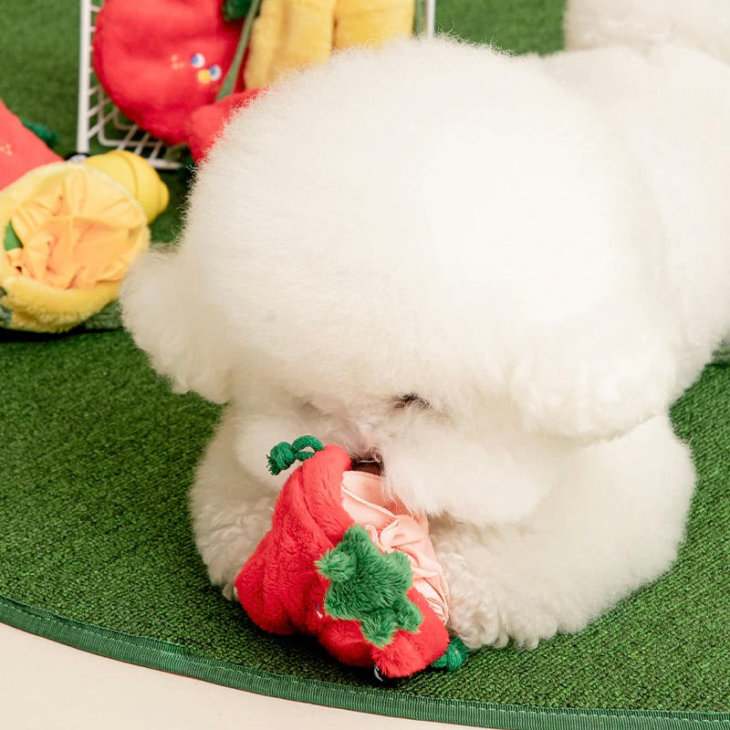※予約販売【BITE ME】Pocket Fruits Nosework Toy
