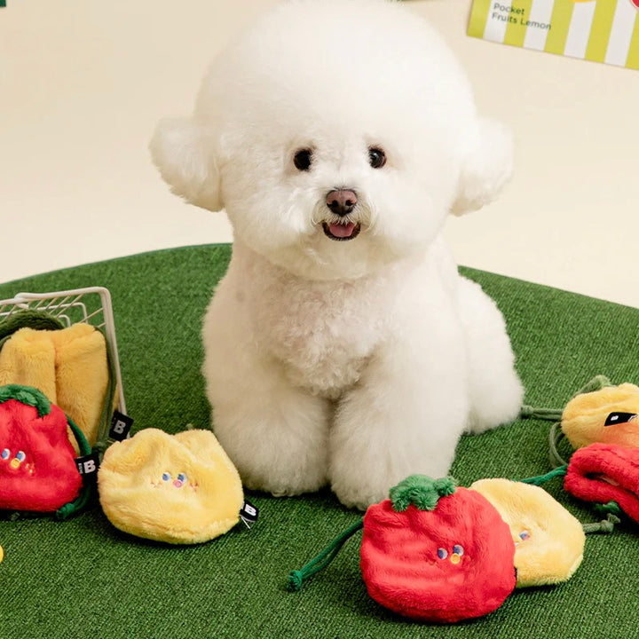 ※予約販売【BITE ME】Pocket Fruits Nosework Toy