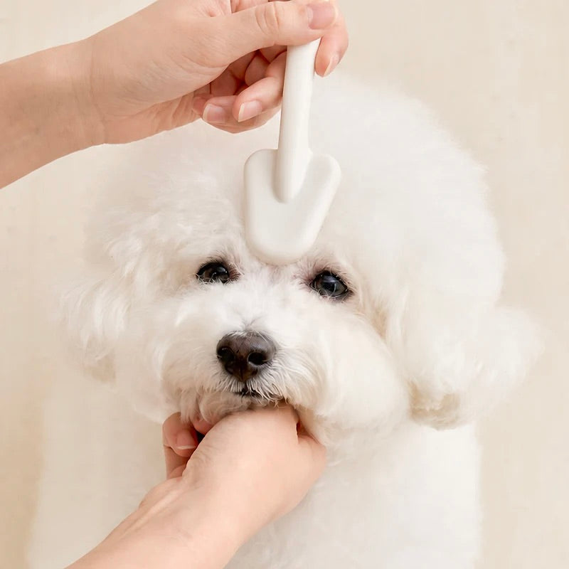 ※予約販売【BITE ME】Point Care Triangle Slicker