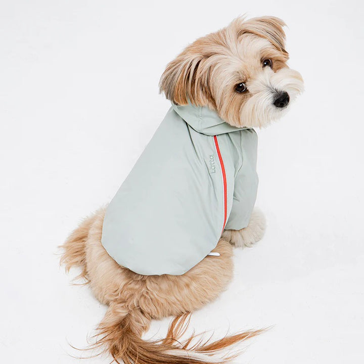 ※予約販売【BITE ME】Latta Filmcover Windbreaker Jacket（3types）