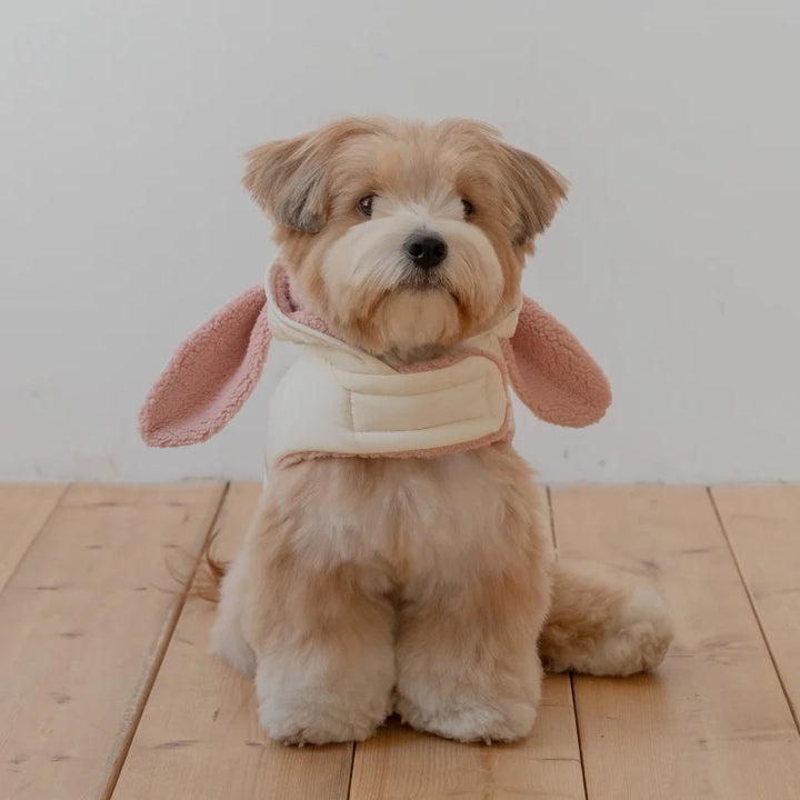※予約販売【ssfw】My Bestie Puffer Harness ver.2（2colors）｜犬用ハーネス