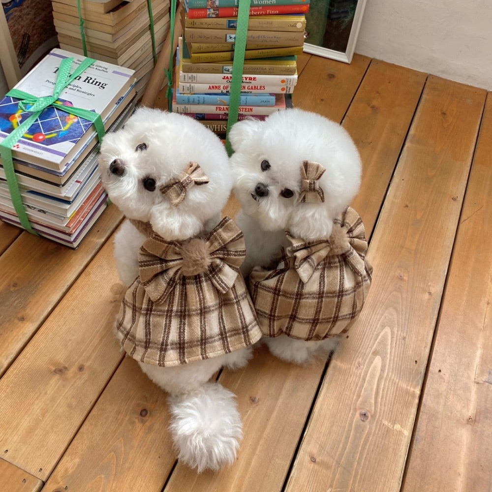 ※予約販売【Hi Yeboo】Amelie Ribbon Collection（Brown）