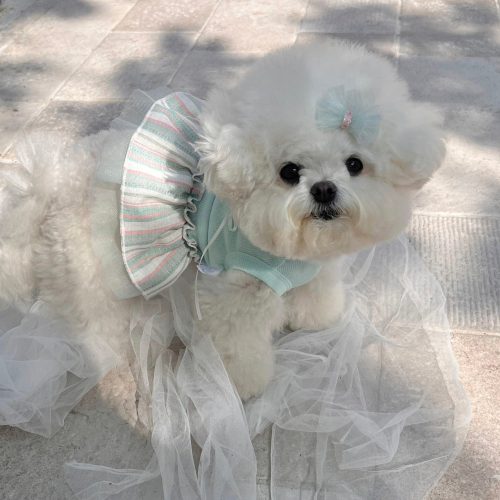 ※予約販売【Hi Yeboo】Vivi Tutu Sleeveless（Mint）