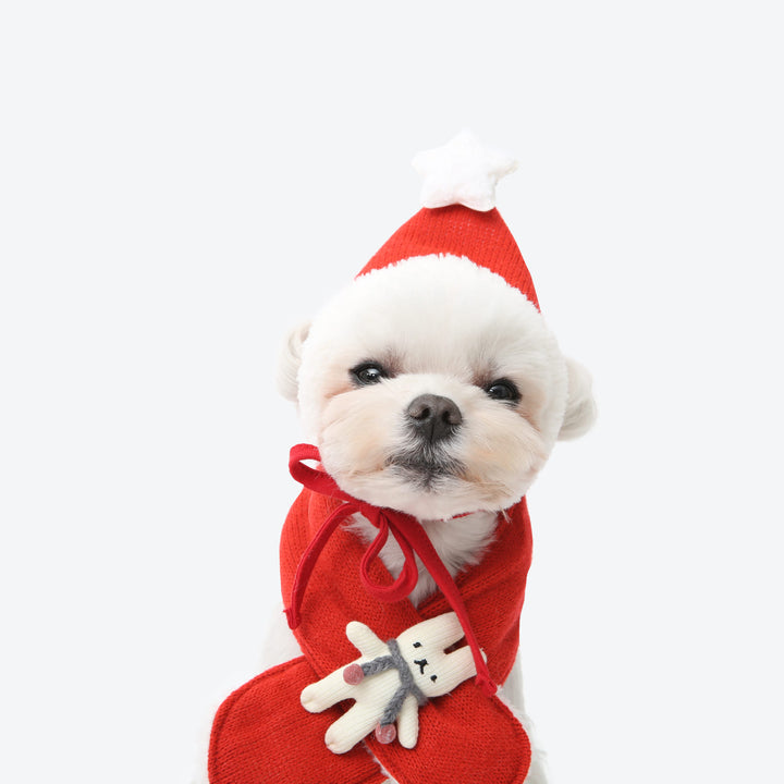 ※予約販売【ITS DOG】Hey bunny knitwear muffler (red)