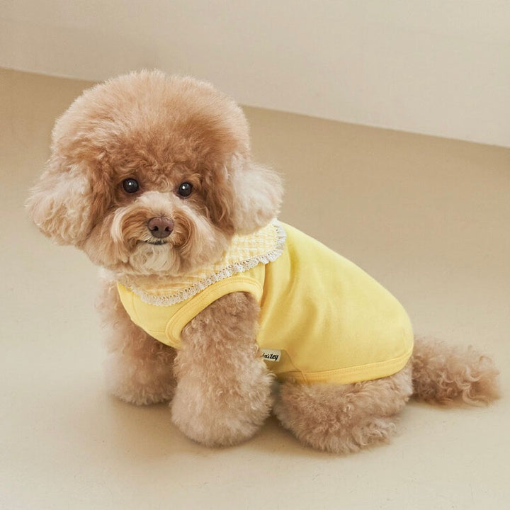 ※予約販売【Bailey】Cozy Sailor T-shirt（Yellow）