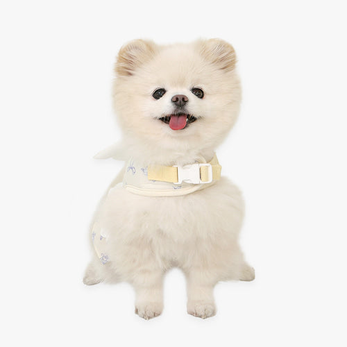 ※予約販売【ITS DOG】Petit Minyong Angel Harness (Ivory)