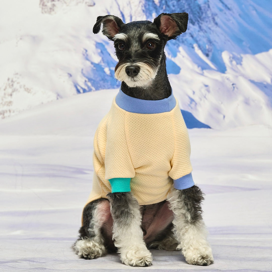 ※予約販売【munikund】Wuff Pullover（Yellow）