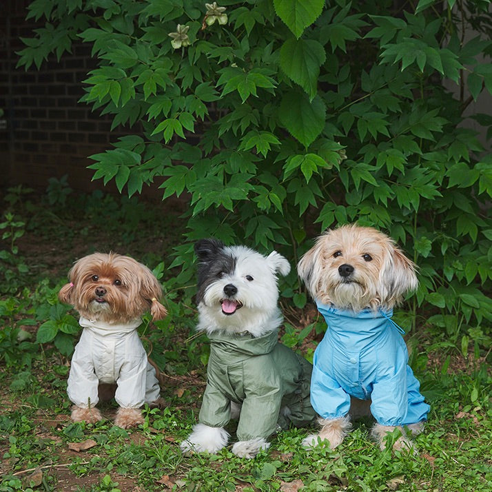 即納【noonoosoom】Rain shuit（Ivory）