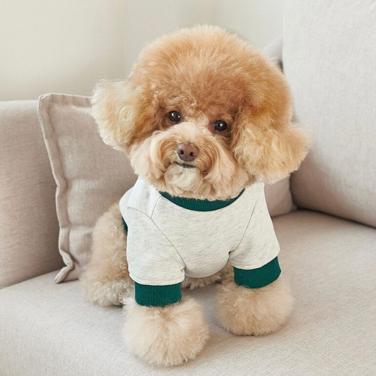 ※予約販売【Bailey】University MTM（Arizona Green）