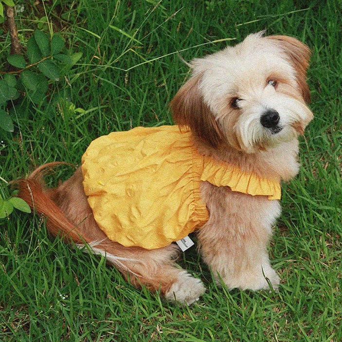 即納【noonoosoom】Dots baloon top（Yellow）