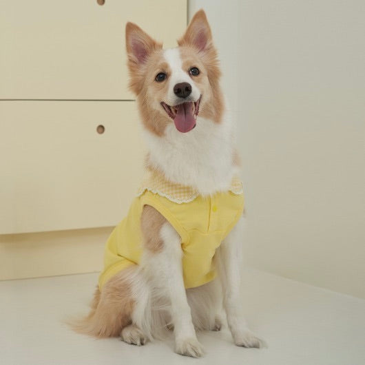 ※予約販売【Bailey】Cozy Sailor T-shirt（Yellow）
