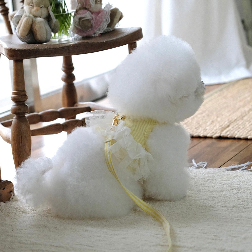 即納【BeBe Breath】Essential Harness（Yellow）Leash Set｜犬用ハーネス