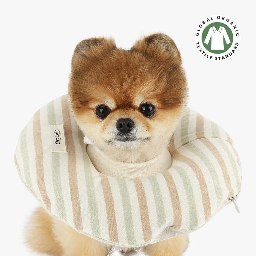 ※予約販売【ITS DOG】Organic Home Care Ring Neck Collar (Olive)
