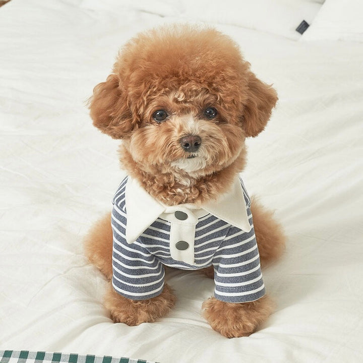 ※予約販売【Bailey】Roy Collar T-shirt（Chic Gray）