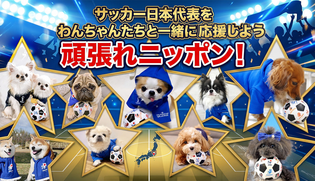 ドッグウェア（犬服）・犬用品通販「 URBAN DOG TOKYO」公式ストア