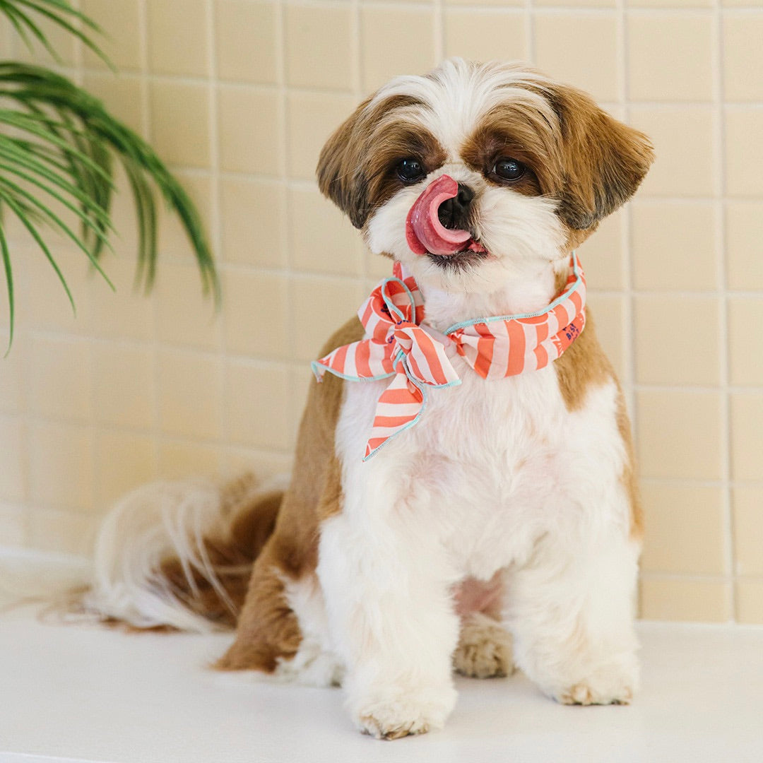 ※予約販売【munikund】COOL SCARF（Candy Orange）