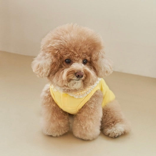 ※予約販売【Bailey】Cozy Sailor T-shirt（Yellow）