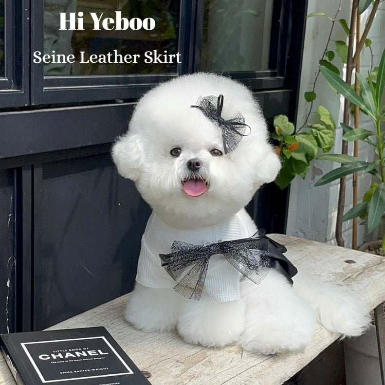 ※予約販売【Hi Yeboo】Seine Leather Skirt