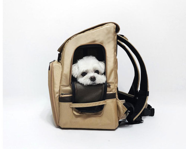 ※予約販売【INSIDE DOG & CAT】Inside R Backpack（ゴールドベージュ）